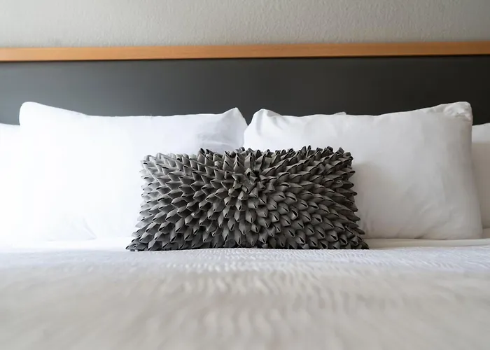 Hotel Saint Clair - Magnificent Mile